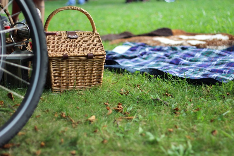 picnic otoño