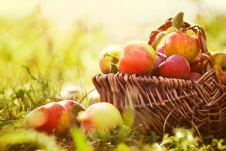 Beneficios de comer una manzana al día