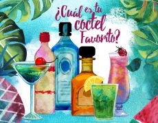 cocteles