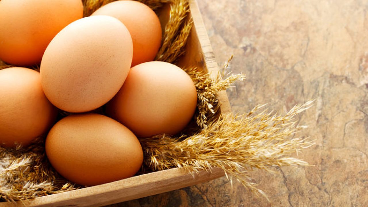 Por qué no es recomendable cocer huevos junto a otros alimentos a la vez y  en el mismo recipiente 