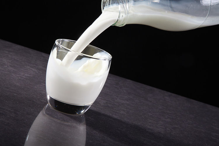 leche lactosa
