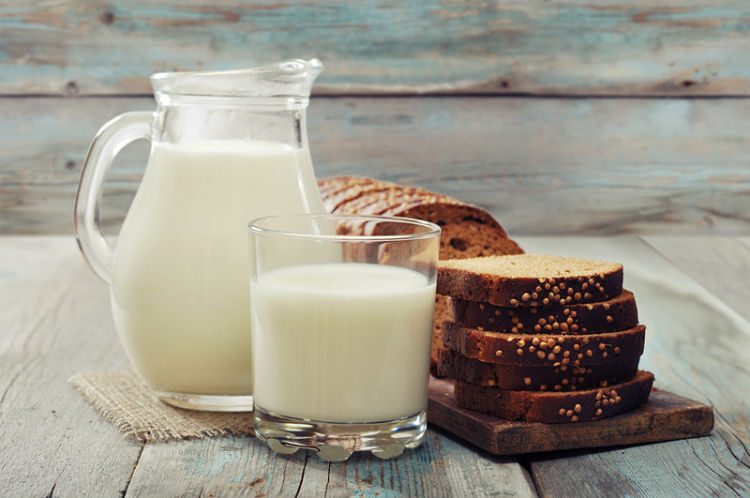 ¿Es mejor la leche vegetal que la leche animal?