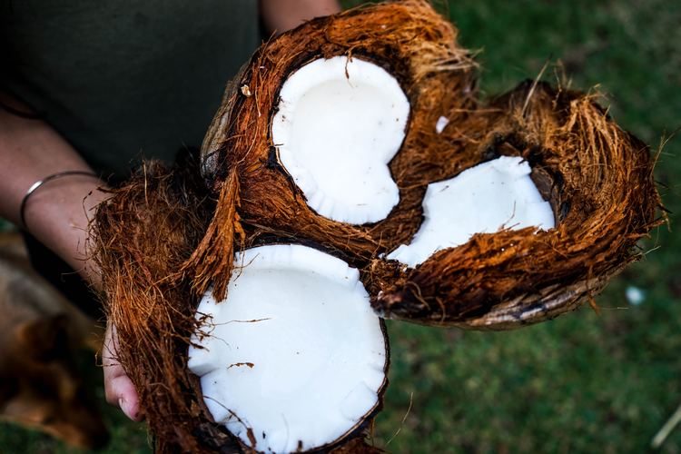 Descubre las propiedades del aceite de coco