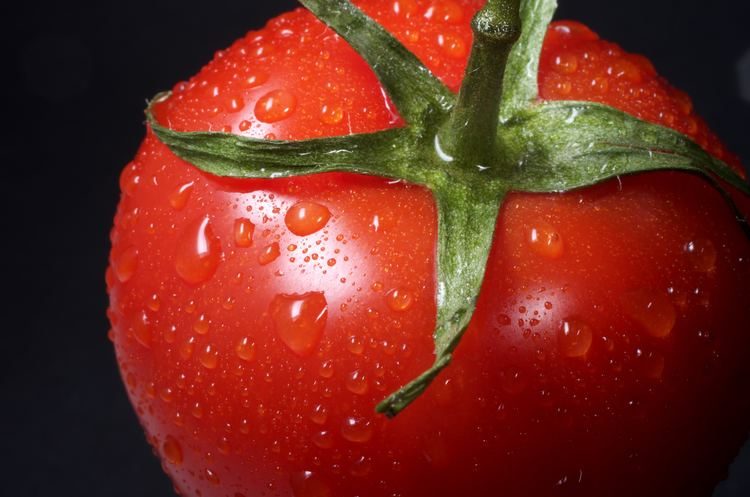 Conoce si el tomate es una fruta o verdura