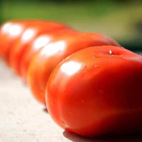 tomate natural