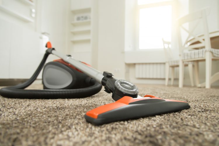 cosa Cereza Campaña Cómo limpiar las alfombras en casa paso a paso | Blog de DIA
