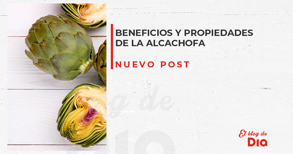 Alcachofa Propiedades Beneficios Y Valor Nutricional De Este Alimento My Xxx Hot Girl 3553