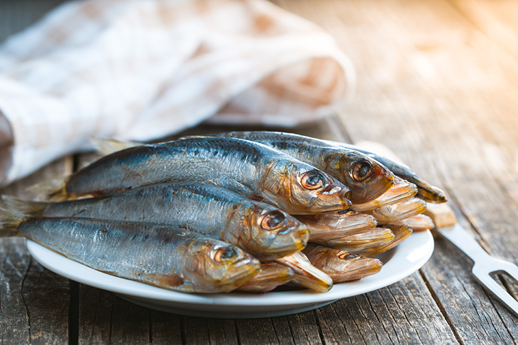 Sardinas: propiedades y beneficios para tu salud de este pescado azul